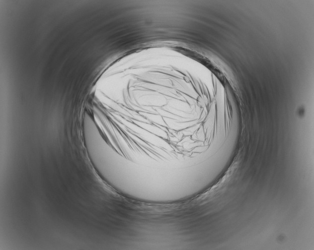 X0000116301193201001111111