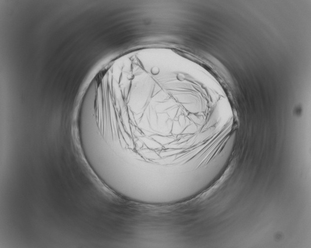 X0000116301196201001111111