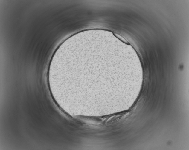 X0000116301197201001111111