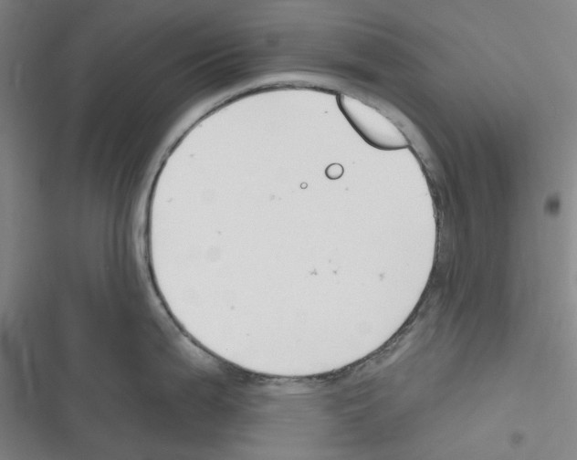 X0000116301199201001111111