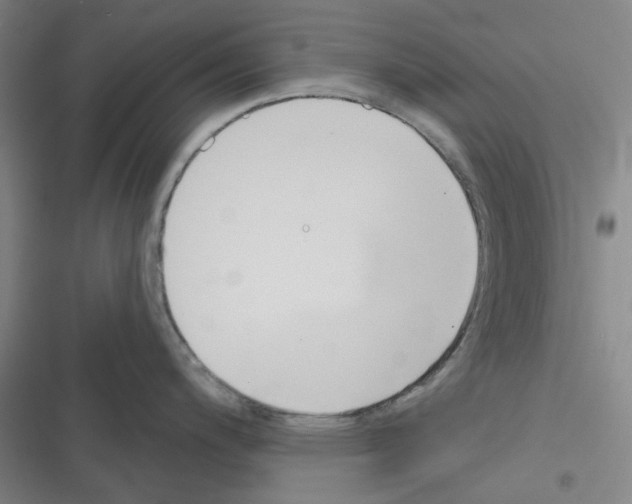 X0000116301200201001111111