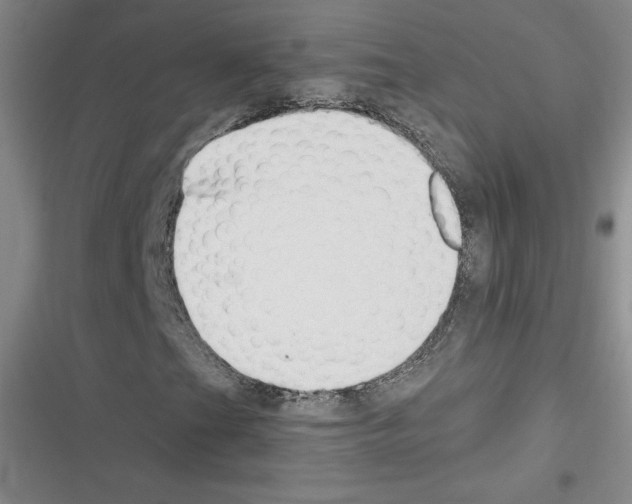 X0000116301201201001111110