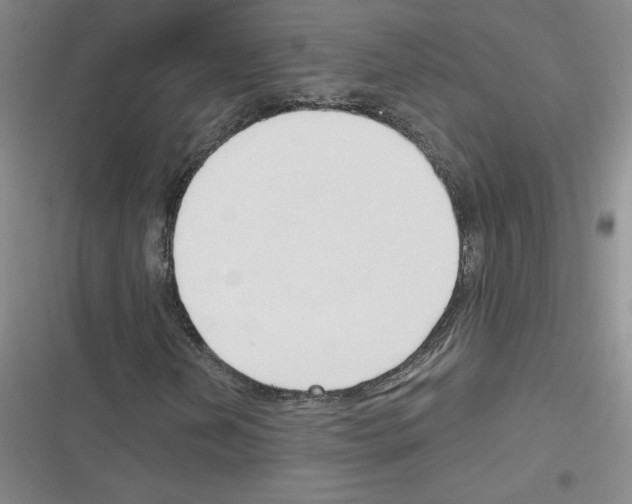 X0000116301202201001111110