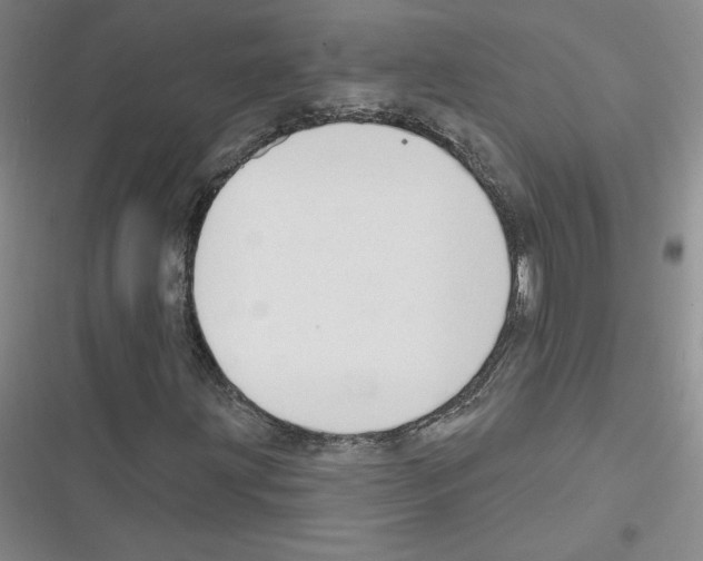 X0000116301203201001111110