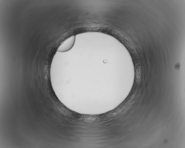 X0000116301204201001111110