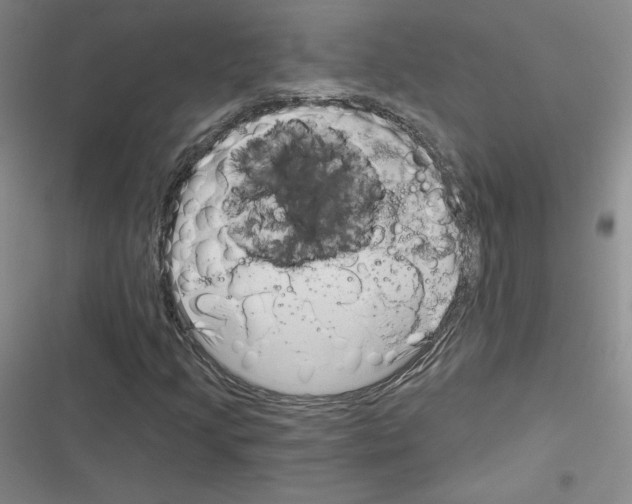 X0000116301205201001111110