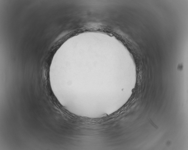 X0000116301206201001111110