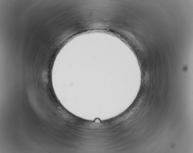 X0000116301209201001111110