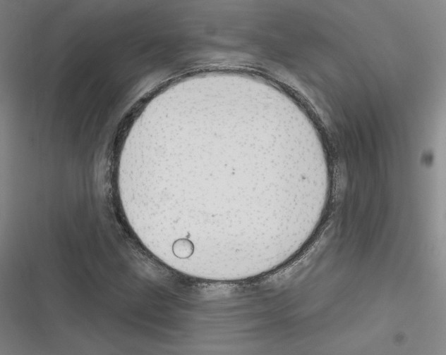 X0000116301211201001111110