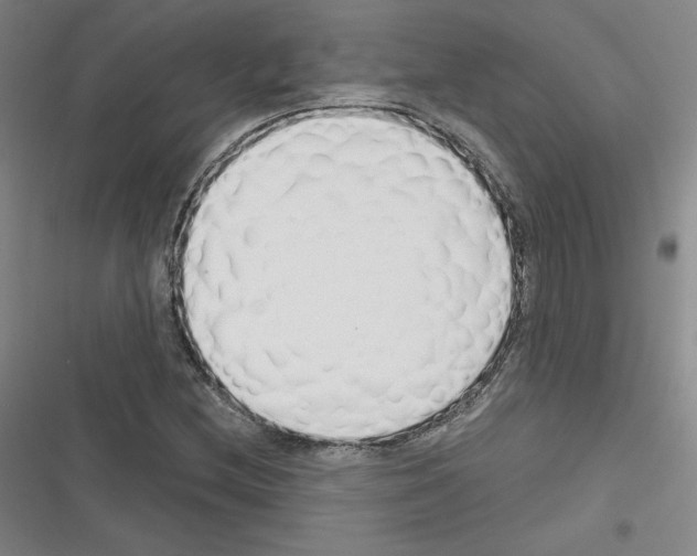 X0000116301212201001111110