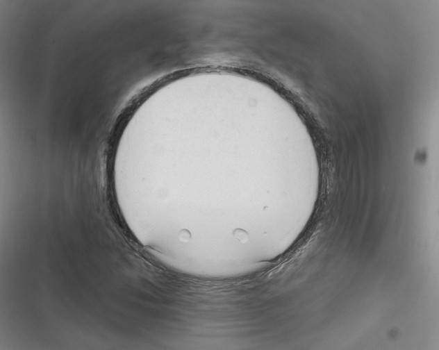 X0000116301214201001111110