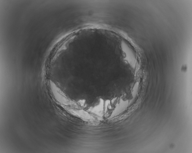 X0000116301215201001111110