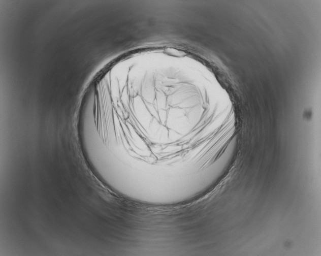 X0000116301216201001111110