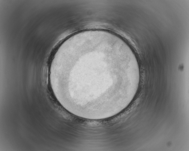 X0000116301219201001111110