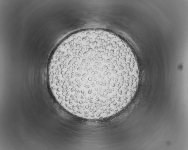 X0000116301220201001111110