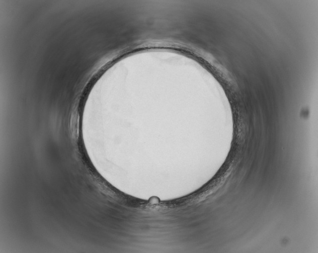 X0000116301221201001111110