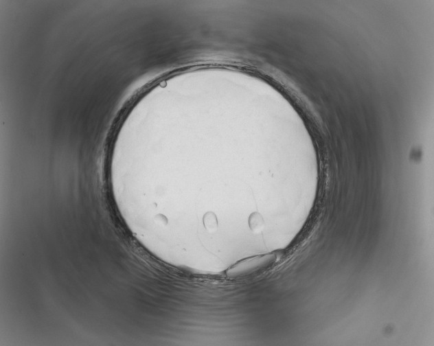 X0000116301222201001111110