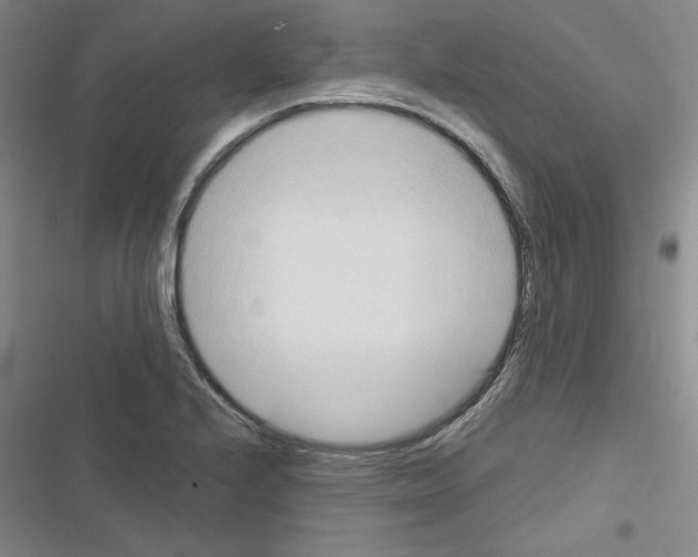 X0000116301224201001111110