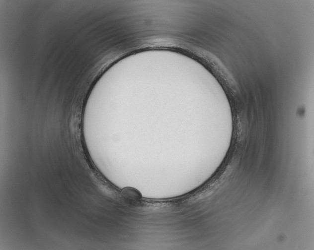 X0000116301225201001111110