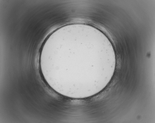 X0000116301227201001111110