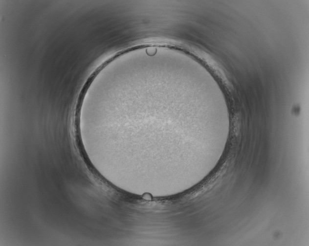 X0000116301229201001111110