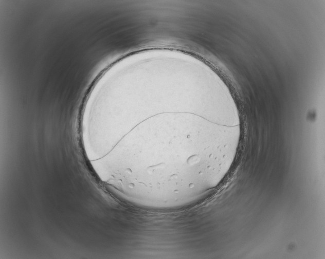 X0000116301230201001111110