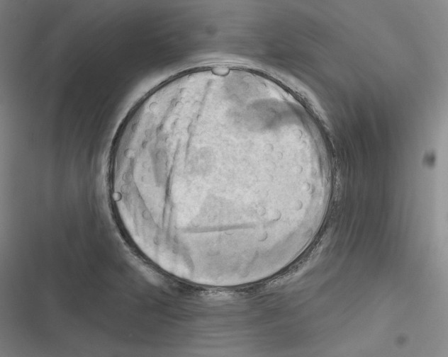 X0000116301231201001111110