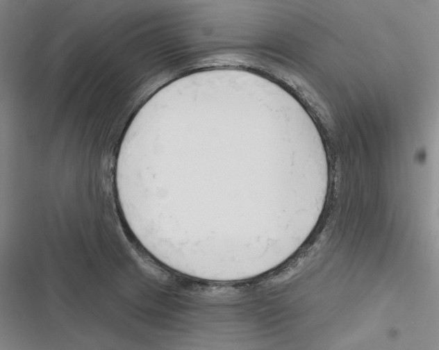 X0000116301233201001111110