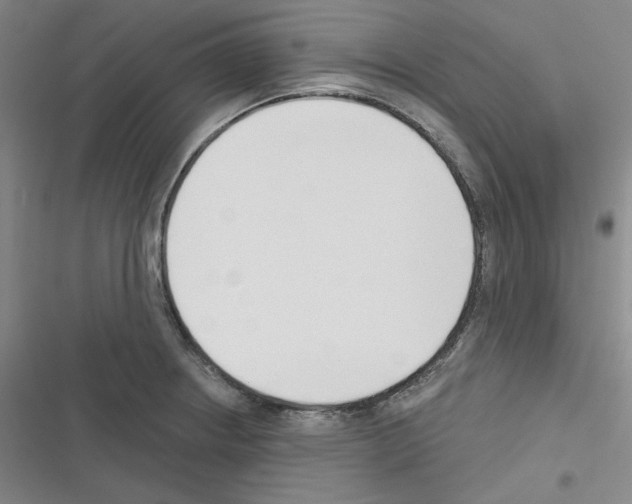 X0000116301234201001111110