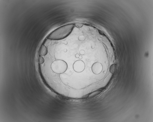 X0000116301235201001111111