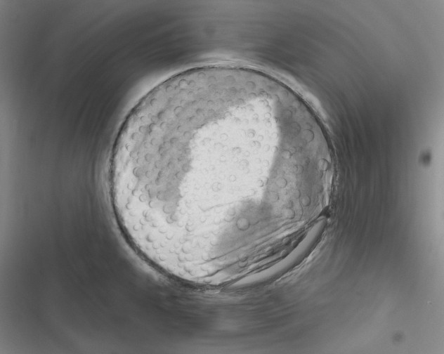 X0000116301239201001111111