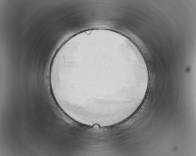 X0000116301240201001111111