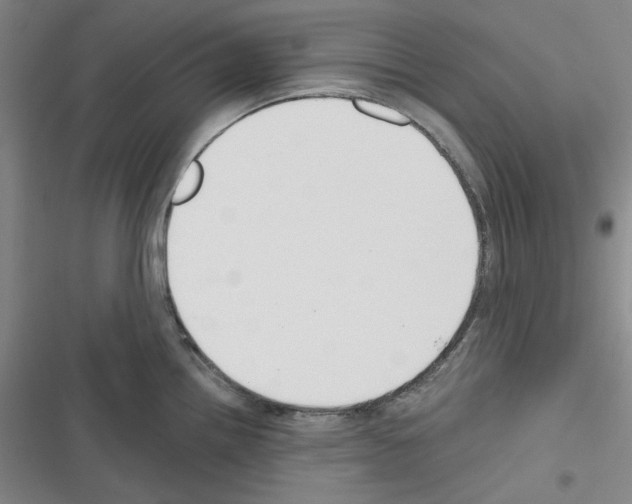 X0000116301242201001111111