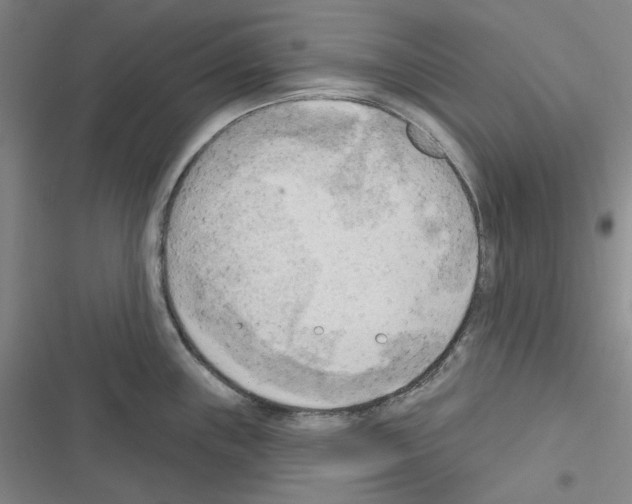 X0000116301243201001111111