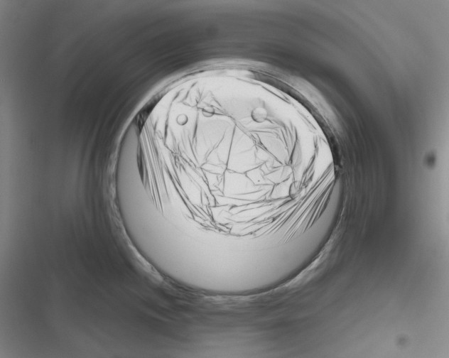 X0000116301244201001111111