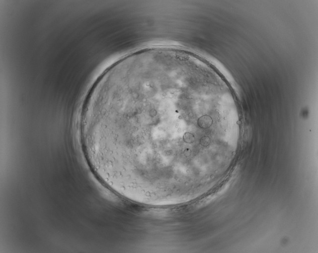 X0000116301245201001111111