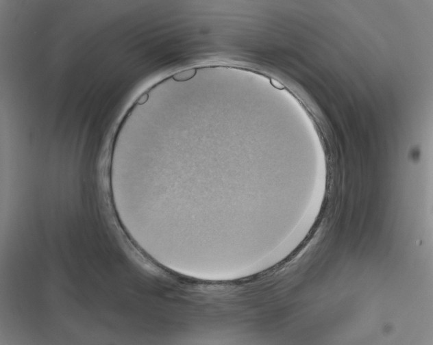 X0000116301246201001111111