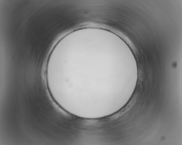 X0000116301247201001111111