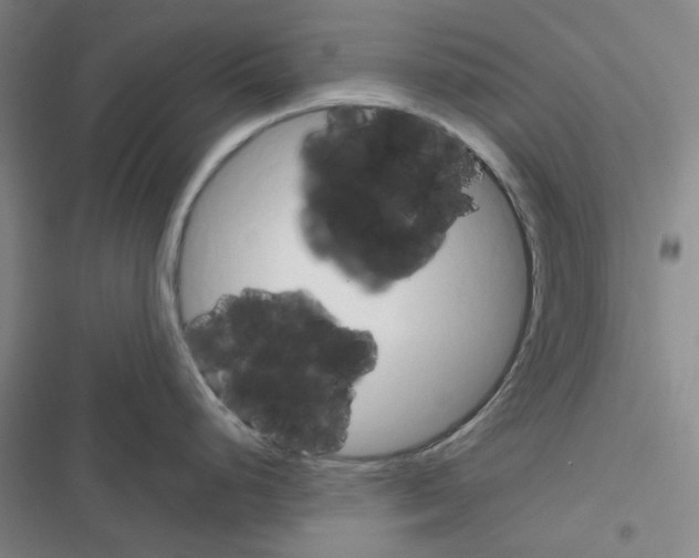 X0000116301248201001111111