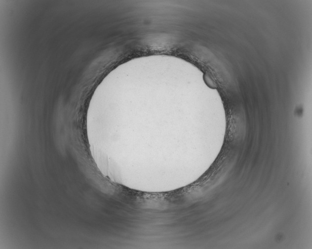 X0000116301249201001111110