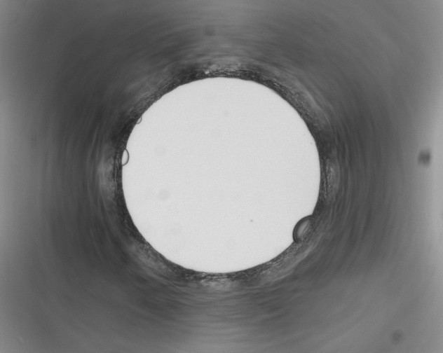 X0000116301250201001111110