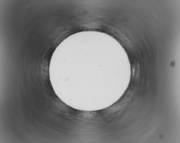 X0000116301251201001111110