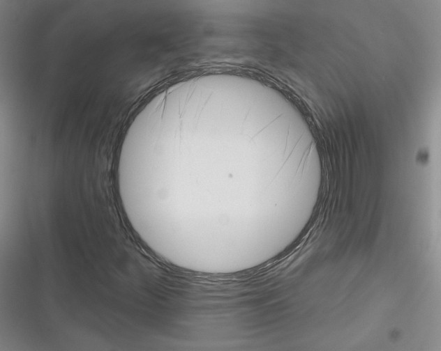 X0000116301252201001111110