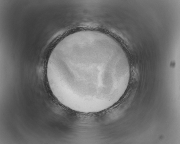 X0000116301254201001111110