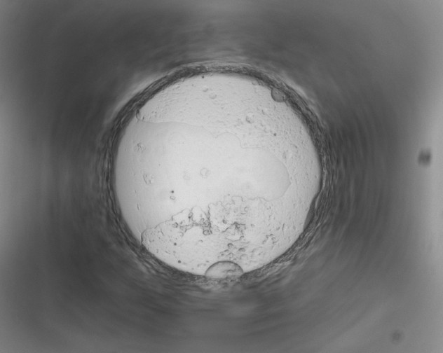 X0000116301255201001111110