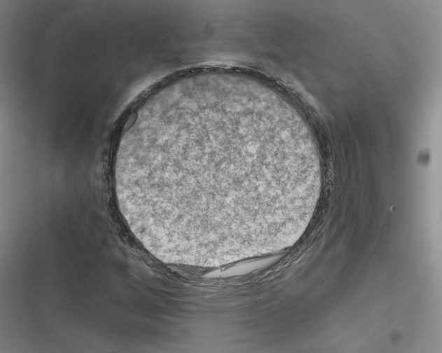 X0000116301256201001111110