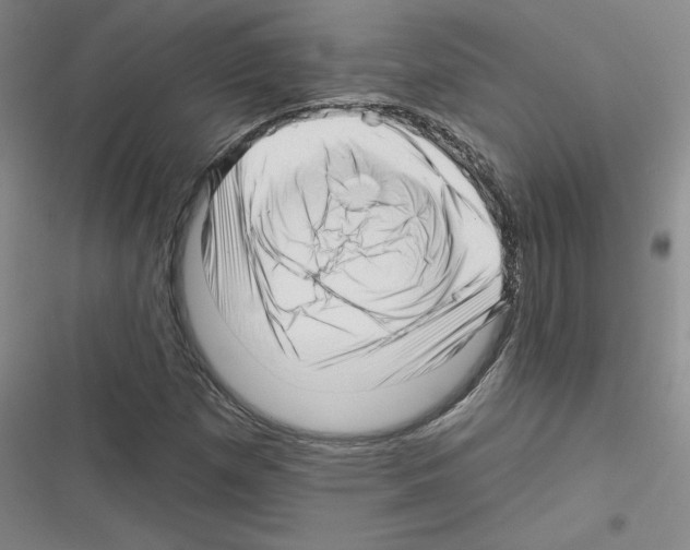 X0000116301257201001111110