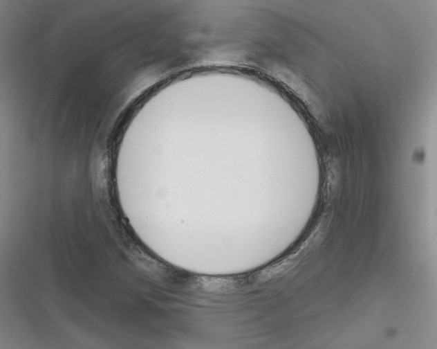 X0000116301258201001111110