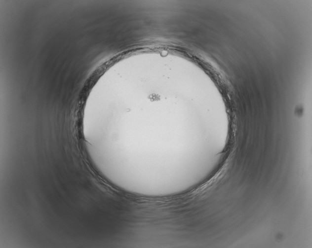 X0000116301259201001111110