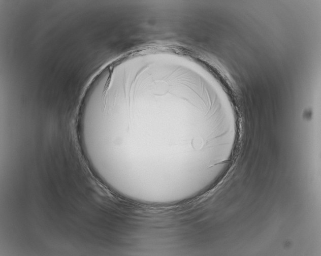 X0000116301260201001111110